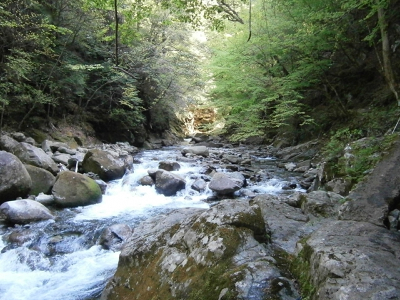 地球環境の保全のための不法投棄・不法集積の撲滅